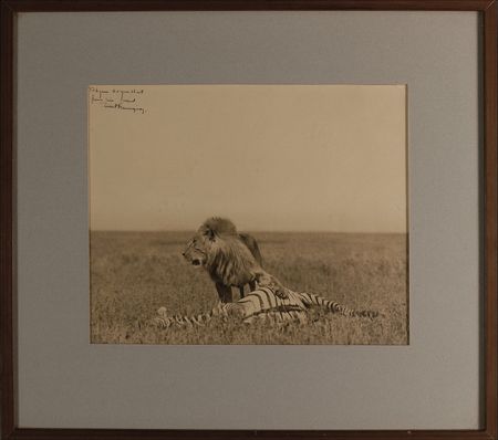 Lot #584 Ernest Hemingway: A breathtaking image of the beauty and brutality of the Serengeti, through Hemingway’s eyes - Image 1