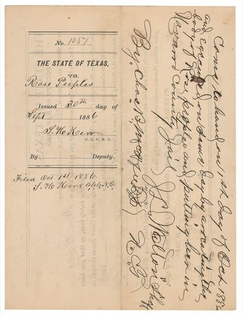 Lot #196 Navarro County Warrants - Image 3