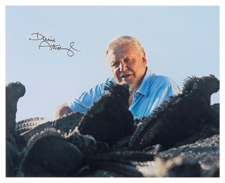 Lot #161 David Attenborough - Image 1