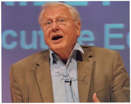 Lot #161 David Attenborough - Image 2