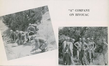 Lot #272 Elvis Presley - Image 4