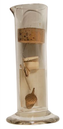 Lot #1690 Connecticut: Carved acorn from the tree that hid Connecticutâ??s constitution, the famous Charter Oak - Image 1