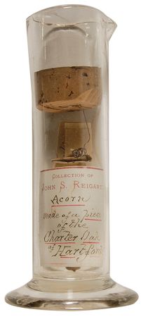 Lot #1690 Connecticut: Carved acorn from the tree that hid Connecticutâ??s constitution, the famous Charter Oak - Image 2