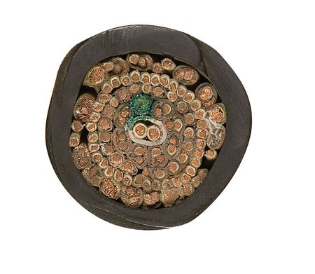Lot #155 Umbilical Cord - Image 1