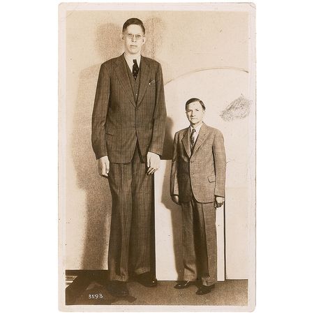 Lot #297 Robert Wadlow - Image 2