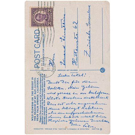 Lot #204 Albert Einstein: Einstein makes a possibly unique reference to his most famous physical asset: “My brain is just being dry distilled by the California desert” - Image 1