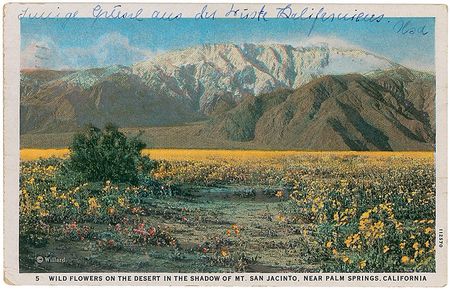 Lot #204 Albert Einstein: Einstein makes a possibly unique reference to his most famous physical asset: “My brain is just being dry distilled by the California desert” - Image 2