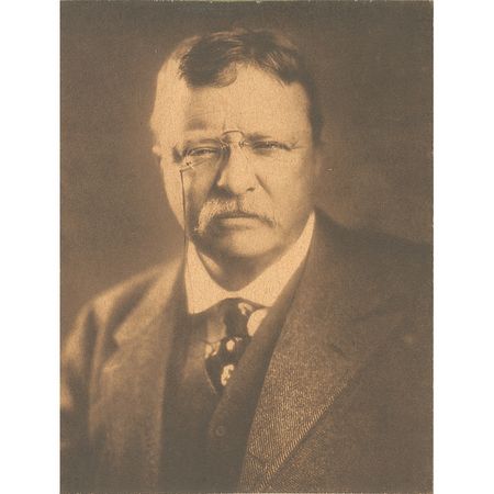 Lot #66 Theodore Roosevelt - Image 2