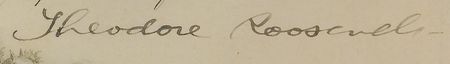 Lot #68 Theodore Roosevelt - Image 2