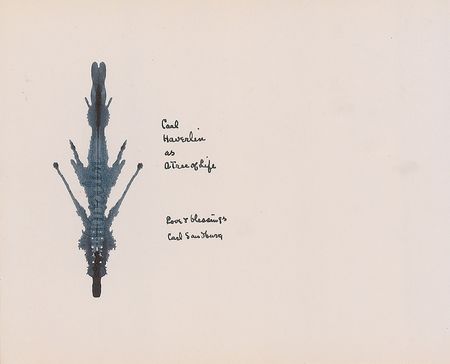 Lot #821 Carl Sandburg: Visually-striking ‘ghost signature’ made by the Pulitzer Prize–winning poet - Image 2