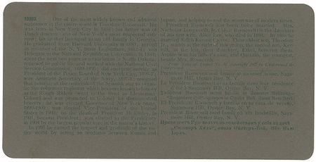 Lot #72 Theodore Roosevelt and Family - Image 1