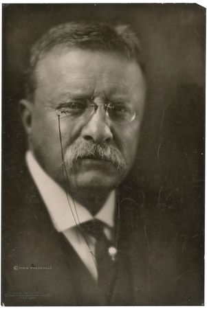 Lot #80 Theodore Roosevelt - Image 2