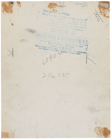 Lot #460 Theodore Roosevelt - Image 1
