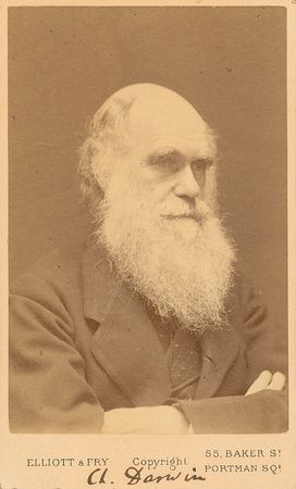 Lot #128 Charles Darwin - Image 2