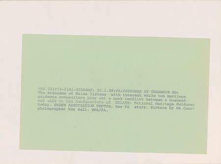 Lot #489 Diana - Image 1