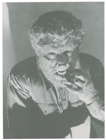 Lot #1195 The Wolf Man Book - Image 6