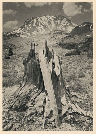 Lot #651 Ansel Adams Postcard - Image 2