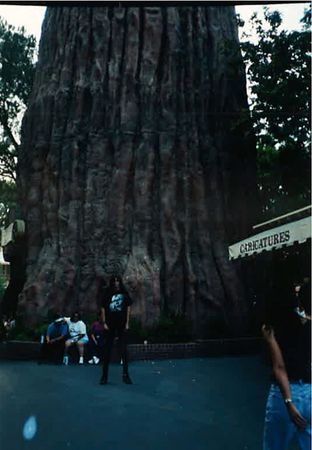 Lot #328 Joey Ramone - Image 4