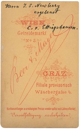 Lot #382 Constantin von Ettingshausen - Image 1