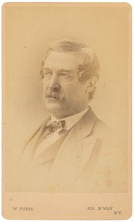 Lot #911 William Pitt Palmer - Image 2