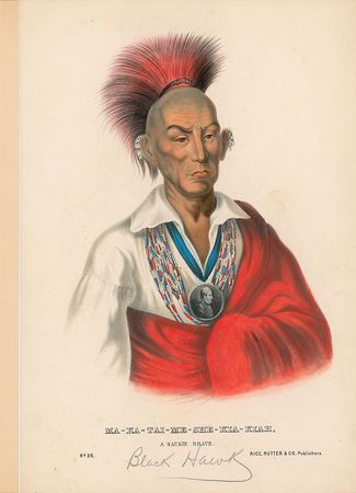 Lot #2079 Black Hawk - Image 1