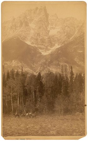 Lot #859 Frank Jay Haynes - Image 1