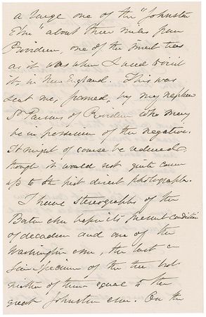 Lot #605 Oliver Wendell Holmes, Sr: “I never saw more than two or three good photographs of American elms” - Image 2