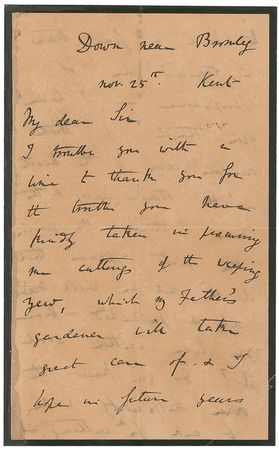 Lot #181 Charles Darwin: “The weeping yew” and “the curious case of the heath in the stone quarry” meet in a magnificent handwritten letter from Darwin to childhood friend and renowned botanist W. A. Leighton - Image 1