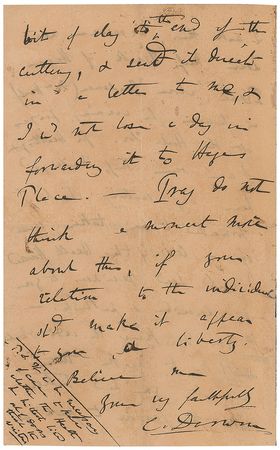 Lot #181 Charles Darwin: “The weeping yew” and “the curious case of the heath in the stone quarry” meet in a magnificent handwritten letter from Darwin to childhood friend and renowned botanist W. A. Leighton - Image 4