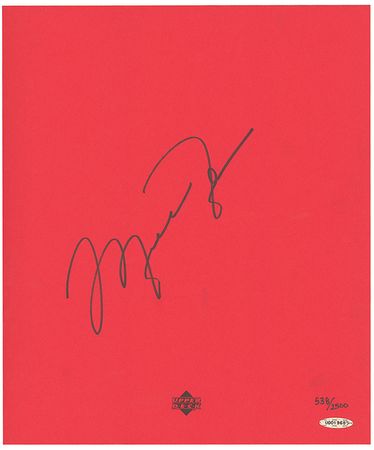 Lot #1523 Michael Jordan Book - Image 1