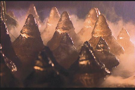 Lot #701 E. T. - Image 2
