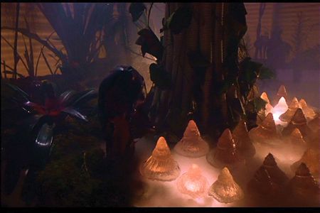 Lot #701 E. T. - Image 3