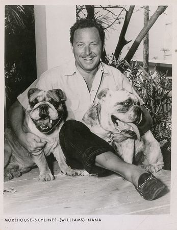 Lot #763 Tennessee Williams Signature - Image 2
