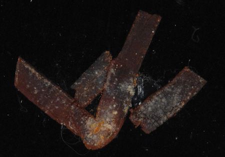 Lot #2105 John Dillinger: Incredibly rare penny recovered from John Dillinger's pocket the night of his death, one of the finest displays of the gunned-down gangster?s final personal affects that we have seen - Image 7