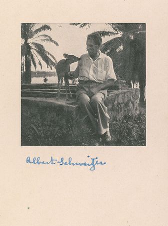 Lot #319 Albert Schweitzer Signed Photograph - Image 1