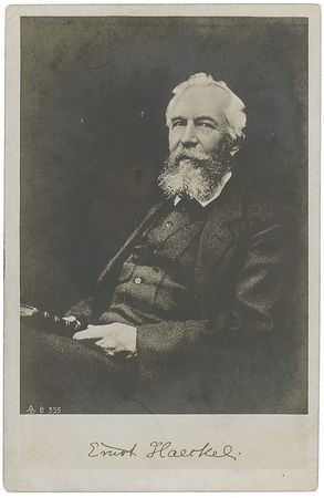 Lot #386 Ernst Haeckel - Image 2