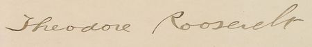 Lot #54 Theodore Roosevelt Signed Document - Image 2