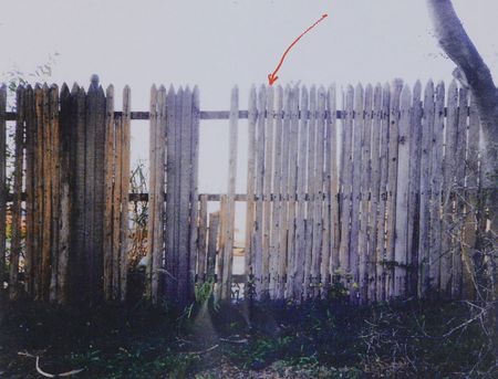 Lot #155 Three Pickets of Fencing from the Grassy Knoll - Image 3