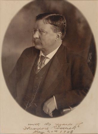 Lot #310 Theodore Roosevelt - Image 2