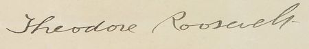 Lot #309 Theodore Roosevelt Signed Document - Image 2