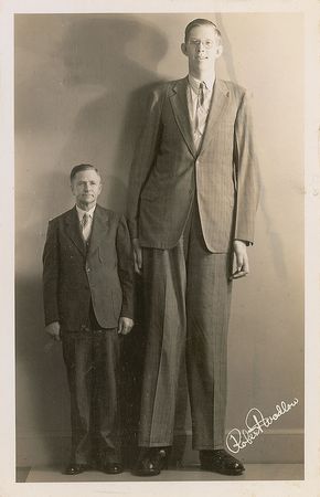 Lot #637 Robert Wadlow Signed Photograph - Image 2