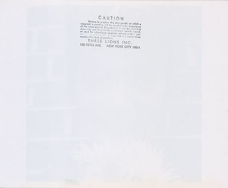 Lot #39 Jacqueline Kennedy Posing with a Flower in Her Backyard Photograph - Image 2