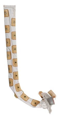 Lot #787 Shuttle Hose - Image 1