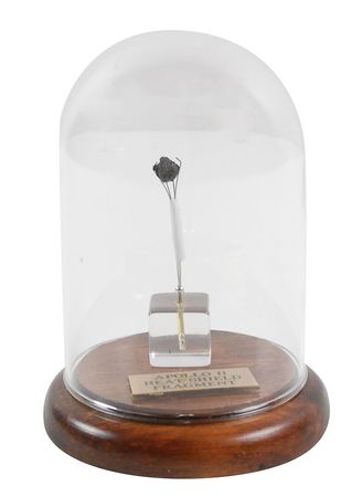 Lot #458 Apollo 11 - Image 1