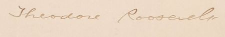 Lot #53 Theodore Roosevelt: Promoting an officer upon his retirement after years of dedicated service - Image 2