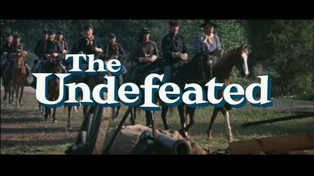 Lot #507 The Undefeated: Roman Gabriel - Image 4