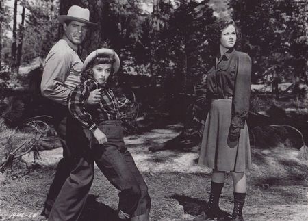 Lot #504 The Forest Rangers: Susan Hayward - Image 5