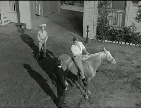 Lot #447 Michael Wilding and Fernando Lamas - Image 11