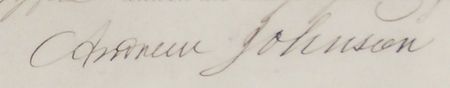 Lot #47 Andrew Johnson: 