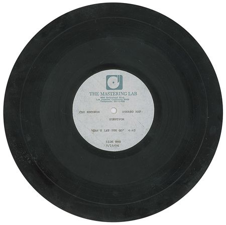 Lot #819 Survivor: Is This Love - Image 2